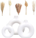 Set of 3 White Ceramic Vase with 65 PCS Dried Pampas Grass Flowers Aesthetic Boho Modern Small round Cute Vases for Decor Living Room Coffee Table Shelf Bedroom Office Desk Home Gifts Women Mom