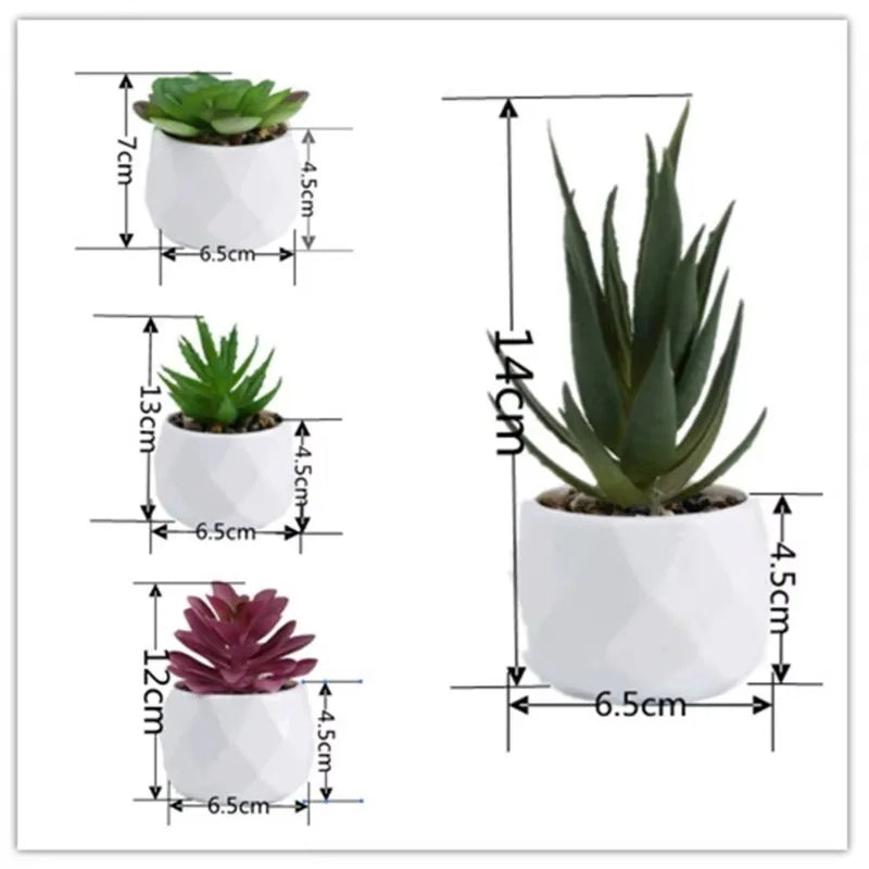 Mini Succulent Bonsai Set