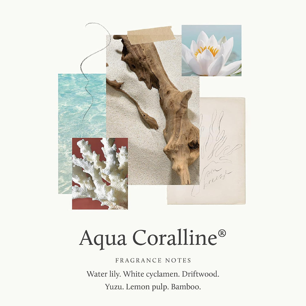 Thymes Petite Reed Diffuser Set – Includes Rattan Wood Sticks, Fragrance Oil, & Glass Bottle – Home Fragrance Oil Diffuser – Luxury Home Decor – Apartment Essentials (Aqua Coralline, 4 Fl Oz)